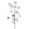 Branche De Coton Naturelle Décorative - 68cm 2 Branche De Coton Naturelle Décorative - 68cm -Produits Menagers Boutique branche de coton naturelle decorative 68cm