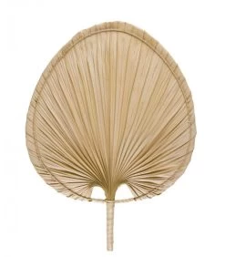 Éventail Décoratif En Feuilles De Palmiers Séchées - 41x54cm
