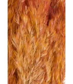 Fleur Séchée De Pampa Couleur Terracotta 10 Branches - 75cm -Produits Menagers Boutique fleur sechee de pampa couleur terracotta 10 branches 75cm 2