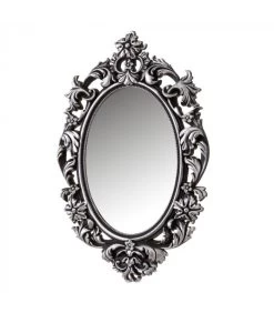 Petit Miroir Mural Ovale Avec Moulures En Polypropylène Argenté