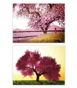 Set De 2 Tableaux Décoratifs Photo Arbres En Fleurs - 60x80cm
