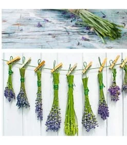 Set De 2 Tableaux Décoratifs Photo Lavande - 70x2.5x50cm -Produits Menagers Boutique set de 2 tableaux decoratifs photo bouquets de lavande 70x25x50cm 2