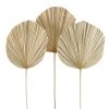 Set De 3 Feuilles De Palmier Séchées Naturelles 100cm -Produits Menagers Boutique set de 3 feuilles de palmier sechees naturelles 100cm