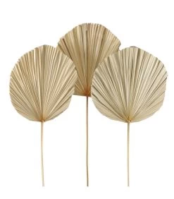 Set De 3 Feuilles De Palmier Séchées Naturelles 100cm
