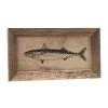 Tableau Bois Décoration Murale Style Gravure Poisson Long -Produits Menagers Boutique tableau bois decoration murale style gravure poisson long